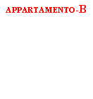 Casella di testo: APPARTAMENTO-b